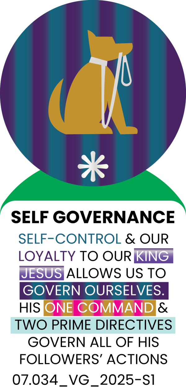 SELF GOVERNANCE