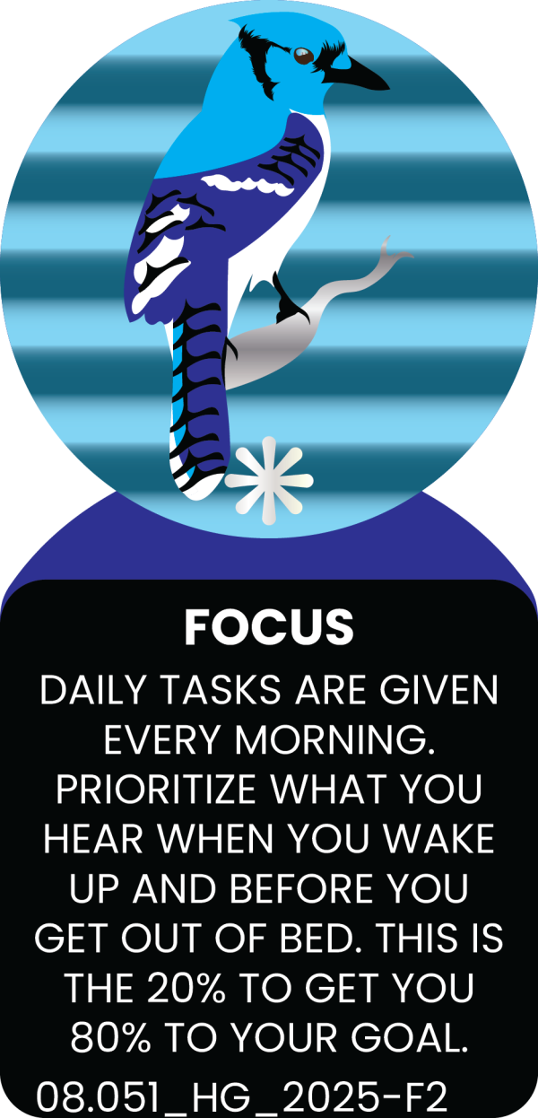 FOCUS