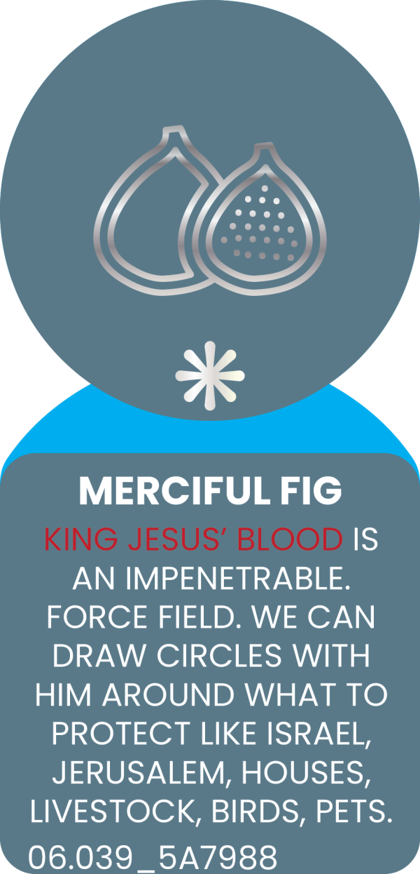 MERCIFUL FIG