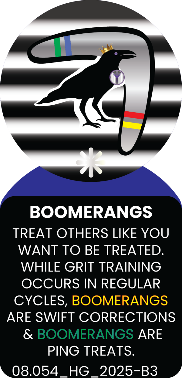 BOOMERANGS