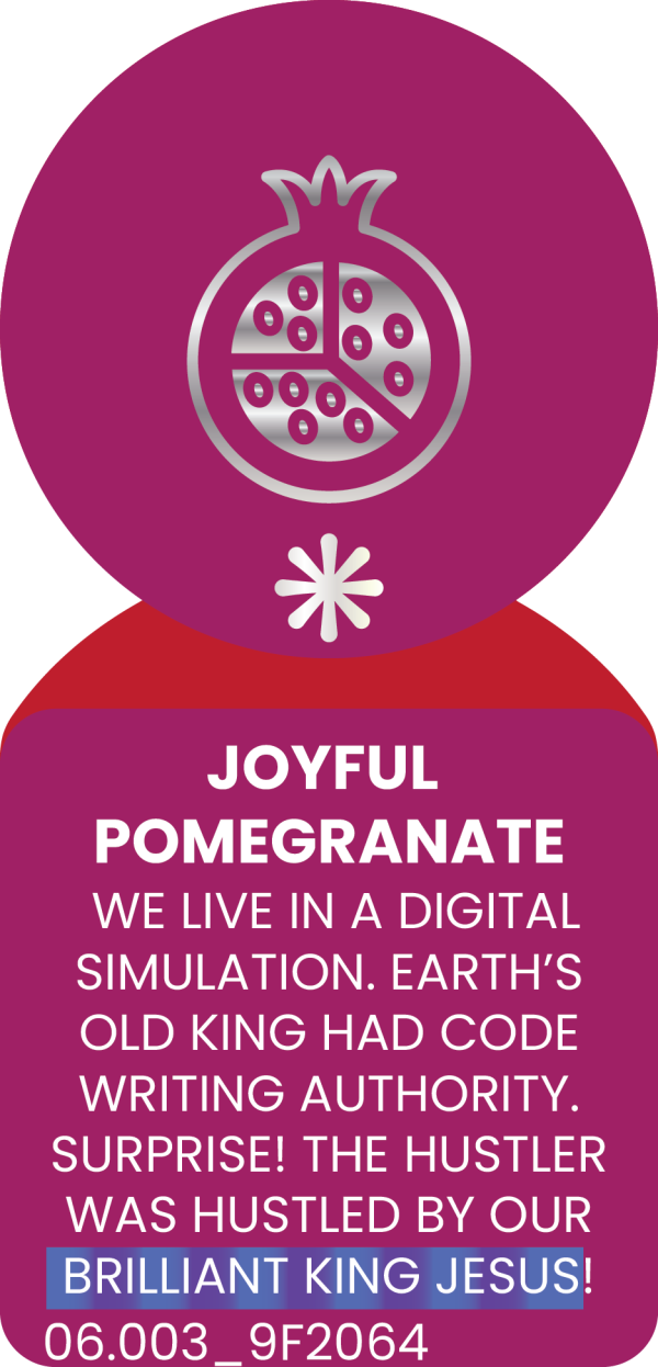 JOYFUL POMEGRANATE