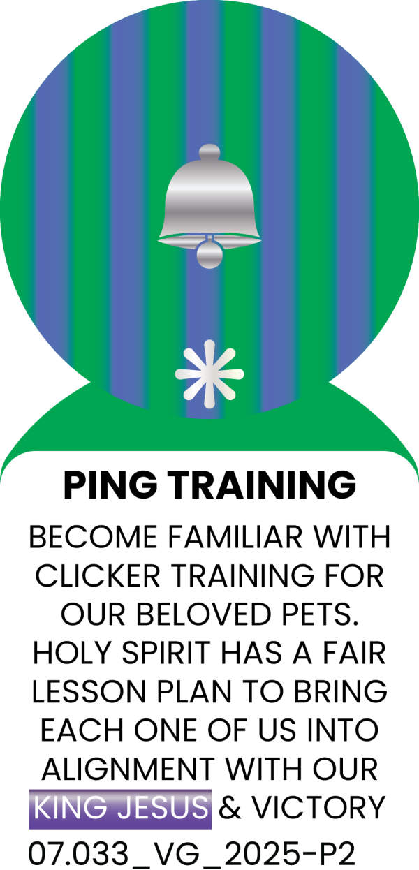 PING TRAINING